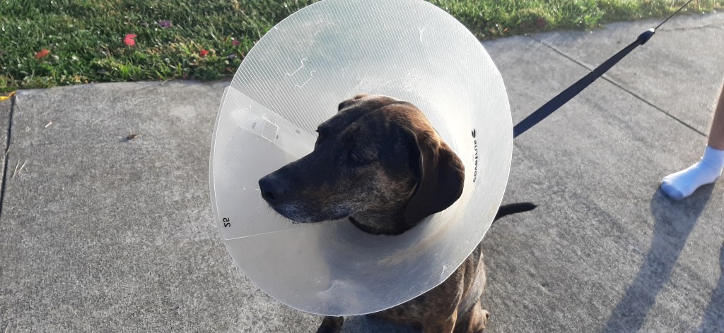 On Waiting for a&nbsp;Biopsy