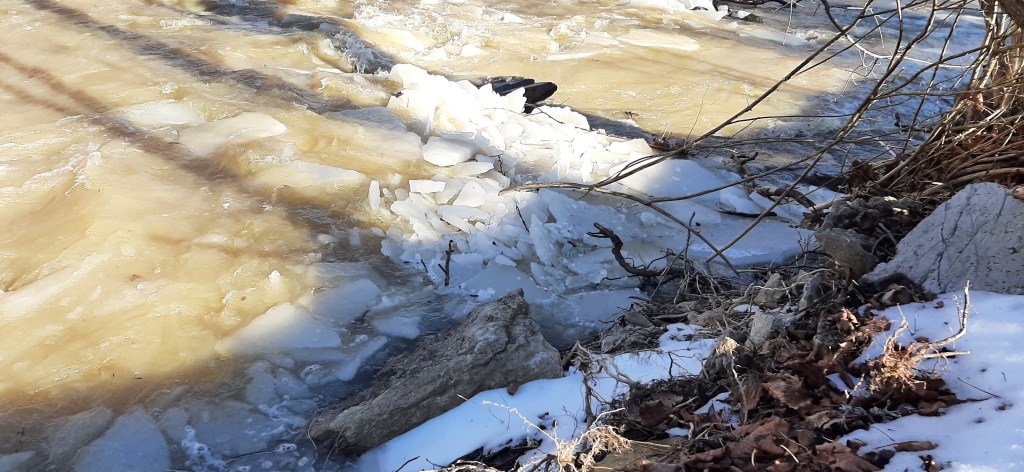 Pieces of ice in a creek - meditation, yoga, letting go