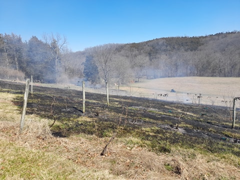 Vineyard fire - LifeSoup Blog