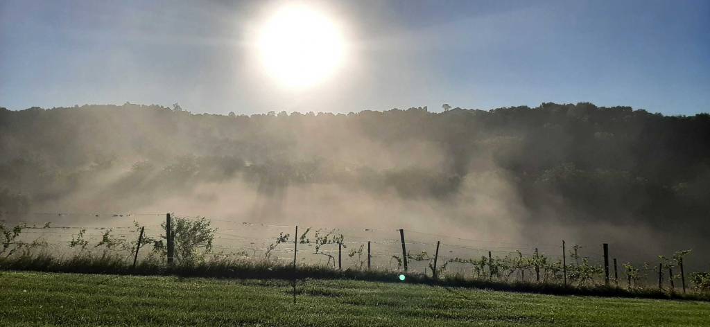 Sunrise from writers cabin - LifeSoup blog